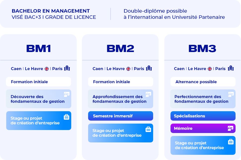 Schéma cursus Bachelor en Management