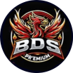 Logo Bureau des Sports Caen