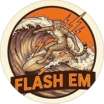 Logo Sports Council Dublin Flash'EM