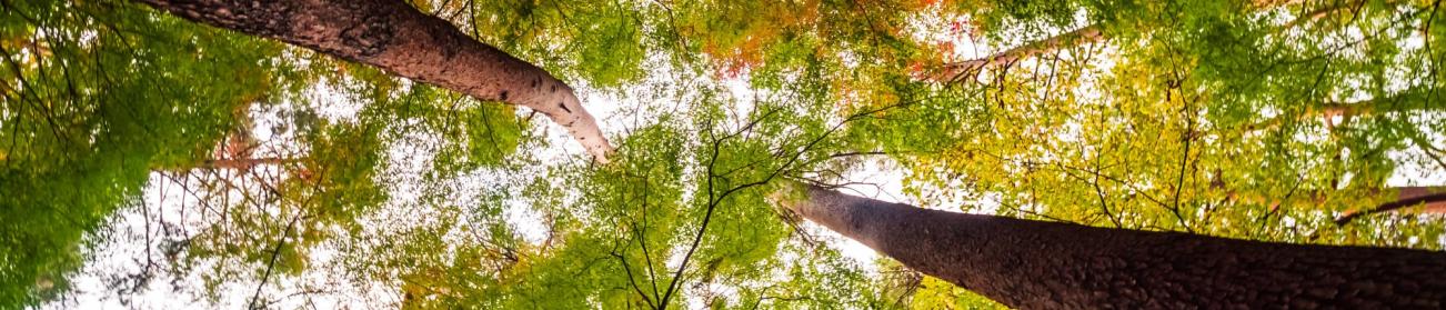 Les métiers du développement durable Les métiers du développement durable