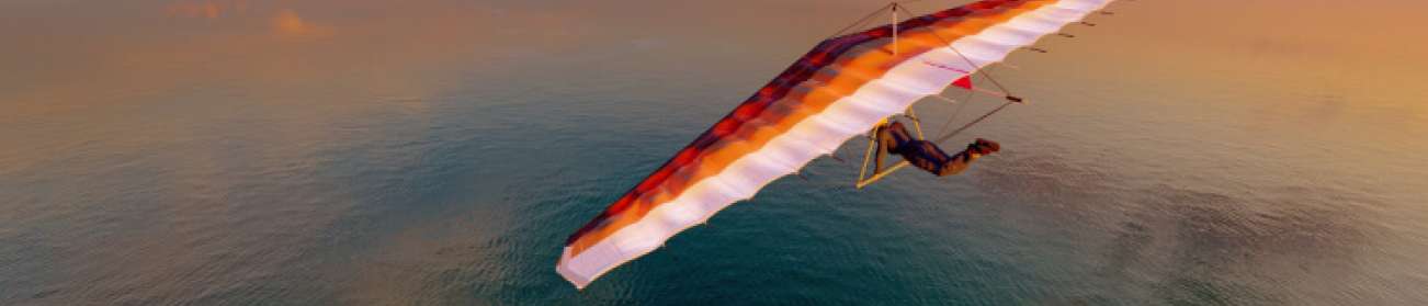 Vol à voile, illustration