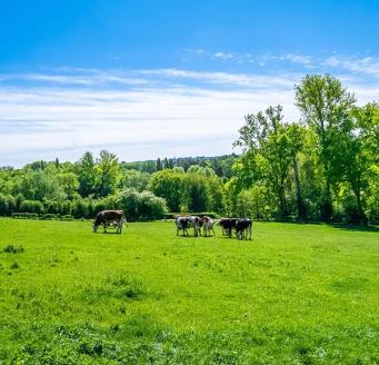 ferme bas carbone