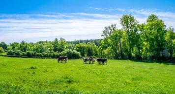 Ferme bas carbone
